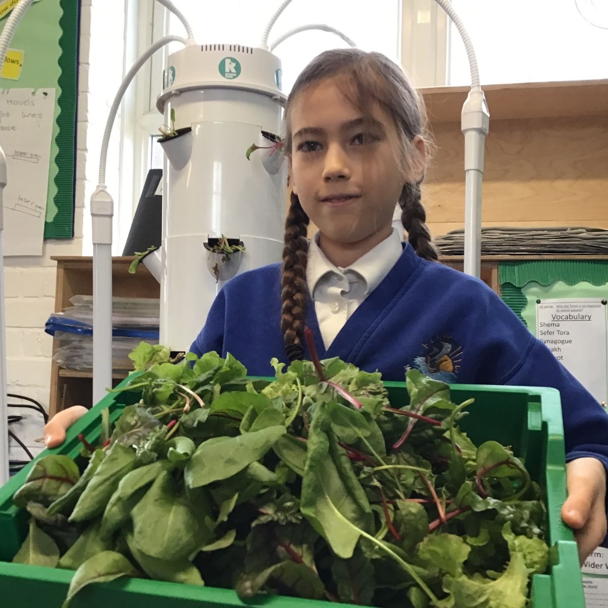 Modbury Primary School Year 6 Eating Growing Tower modbury-primary-school-year-6-eating-growing-tower